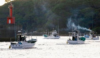 　イルカやゴンドウクジラなど小型鯨類の追い込み漁が解禁され、太地漁港から出港する漁船＝１日早朝、和歌山県太地町