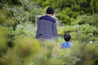 　息子の手を握り、公園を散歩するシングルマザー（本文とは関係ありません）