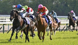 　競馬