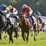 　競馬