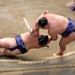 　豊昇龍（右）がすくい投げで平戸海を下す＝両国国技館
