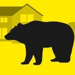 　クマのイラスト