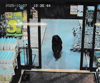 　群馬県沼田市内のスーパーの防犯カメラに写った、店内に入っていくクマ＝７日夜（群馬県警提供）