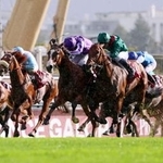 　優勝したフランス馬のダリズ（中央右）。左端は日本馬で５着のビザンチンドリーム。右端は日本馬で１４着のクロワデュノール＝パリロンシャン競馬場（共同）