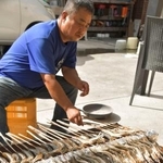 　秋の風物詩、あぶりアユ作りに取り組む木田豪さん＝和歌山県田辺市