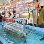 　ＪＲ函館駅前の函館朝市にある「活いか釣堀」でイカ釣りを楽しむ観光客＝２３日午後