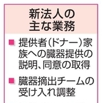 　新法人の主な業務