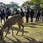 　安倍元首相が銃撃され死亡した事件の初公判で、傍聴席を求めて並ぶ大勢の人たち＝２８日午前、奈良市