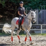 　平安騎馬隊の馬に乗り訓練する京都府警の隊員＝９日、京都市左京区