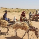 　２９日、スーダン西部ダルフール地方のファシェルから避難した人々（ＡＰ＝共同）