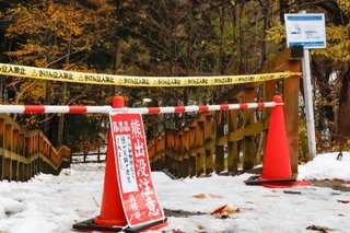 　通行が規制された円山動物園近くの遊歩道＝９日午後、札幌市中央区
