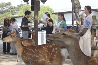 　奈良公園でシカに直接触れないよう注意を呼びかける関係者ら＝８月、奈良市