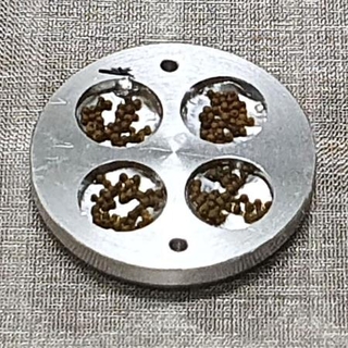 　実験装置に入れたコケ胞子の粒。１粒に約４千個の胞子が入っている（藤田知道教授ら提供）