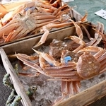 　富山県以西の日本海で漁が解禁され、兵庫県豊岡市の津居山港に水揚げされたズワイガニ＝６日午前