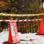 　通行が規制された円山動物園近くの遊歩道＝９日午後、札幌市中央区