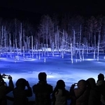 　北海道美瑛町の観光名所「青い池」で冬季のライトアップが行われている。訪れた人たちは雪で覆われた水面とカラマツが暗闇に浮かび上がる幻想的な風景を楽しんでいた＝１５日夜