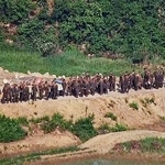 　非武装地帯（ＤＭＺ）での作業に投入された北朝鮮の兵士（韓国軍提供・共同）