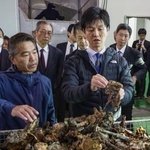 　水揚げされたカキを手に取る鈴木農相（右）＝１９日午前、広島県東広島市