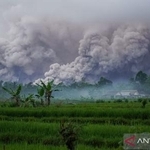 　インドネシア・スメル火山の噴煙＝１９日（アンタラ＝共同）