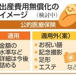 　出産費用無償化のイメージ