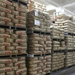 　神奈川県内の倉庫に保管されている政府備蓄米＝５月