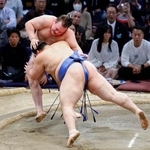 　安青錦（奥）が寄り切りで大の里に敗れる＝福岡国際センター