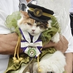 　和歌山電鉄貴志駅の三毛猫の駅長「ニタマ」＝２０２１年、和歌山県紀の川市