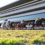 　第４２回マイルチャンピオンシップを制したジャンタルマンタル（右端）＝京都競馬場