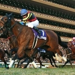 　２０１３年１１月、第３３回ジャパンカップで優勝し、史上初の連覇を達成したジェンティルドンナ＝東京競馬場