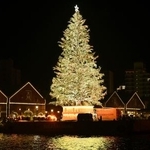 　北海道函館市の赤レンガ倉庫前で点灯された巨大クリスマスツリー＝２９日夜