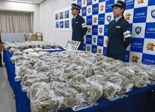 　押収された３１キロ超の乾燥大麻＝２日午後、関西空港