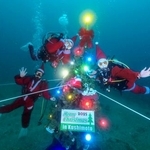 　和歌山県串本町沖の海底に設置されたクリスマスツリー＝１１月（串本ダイビング事業組合提供）