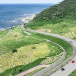 　国道２４９号沿いにある「白米千枚田」＝９月、石川県輪島市（ドローンから）