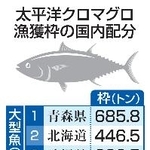 　太平洋クロマグロ漁獲枠の国内配分
