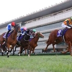 　第７７回阪神ジュベナイルフィリーズを制したスターアニス（右端）＝阪神競馬場