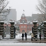 　降雪が続く札幌市内。奥は北海道庁旧本庁舎＝１４日午後２時４分