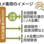 　コメ集荷のイメージ