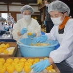 　大阪府河内長野市の盛松寺で行われた「ゆずみそ」づくり＝１９日午後