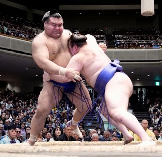 　安青錦（右）が寄り切りで高安を下す＝両国国技館
