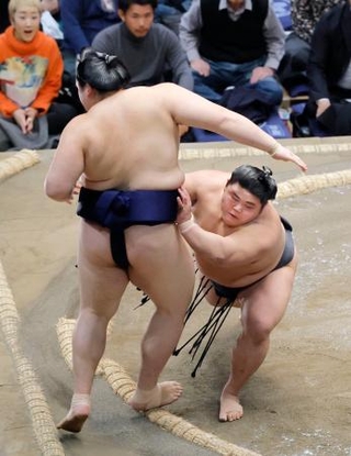 　大の里を押し出す伯乃富士（右）＝両国国技館