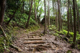 　吉野熊野国立公園の大日越（環境省提供）