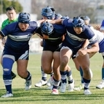 　尾道-桐蔭学園　前半、モールで押し込みトライを決める桐蔭学園の選手たち＝花園