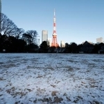 　うっすらと雪が残る東京タワー近くの公園＝３日朝、東京都港区