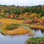 　十和田八幡平国立公園をドローンで撮影した動画の一場面（ネイチャーサービス、環境省提供）