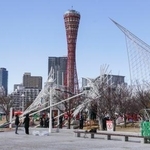 　一部が倒れた「神戸ルミナリエ」の作品＝１１日午前１１時４４分、神戸市中央区のメリケンパーク