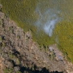 　神奈川県秦野市の山中で発生した火災＝１１日午後２時８分（共同通信社ヘリから）