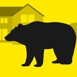 　クマのグラフィックス