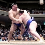 　安青錦（右）が寄り切りで高安を下す＝両国国技館