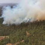 　チリ・コンセプシオンの森林から上がる煙＝１９日（ロイター＝共同）
