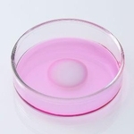 　患者の膝の軟骨細胞を培養して移植する再生医療等製品「ジャック」（ジャパン・ティッシュエンジニアリング提供）